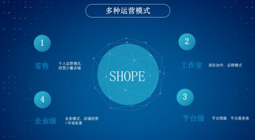 極速跨境ERP 無貨源鋪貨模式下的版本權限解析與適用場景指南